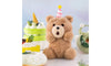 Pop Mart Ted2 Teddy Bear Action Plush Pendant Series Sealed Case (6 Blind Box)