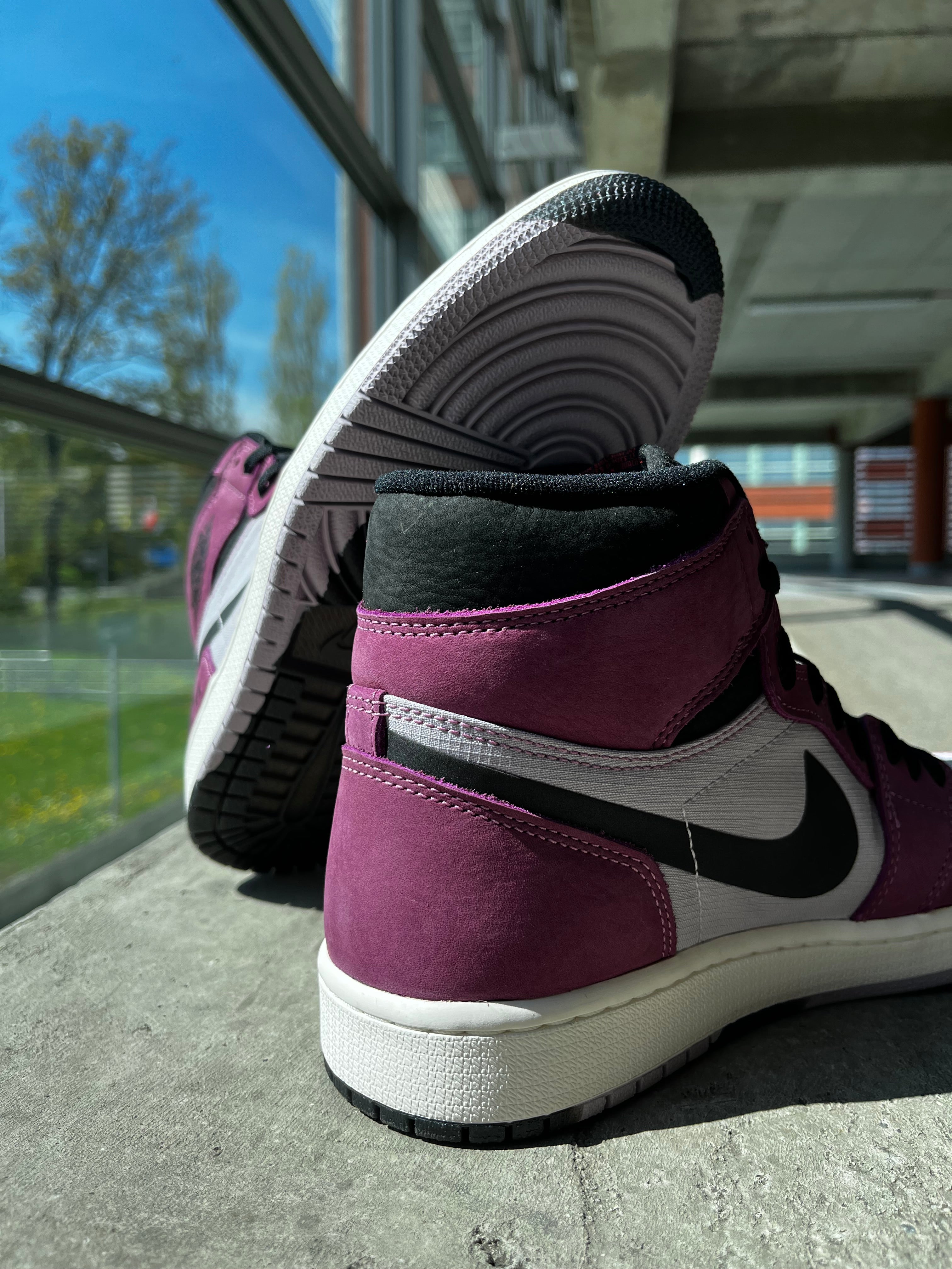 Jordan 1 High Element Gore-Tex Berry – StreetSense